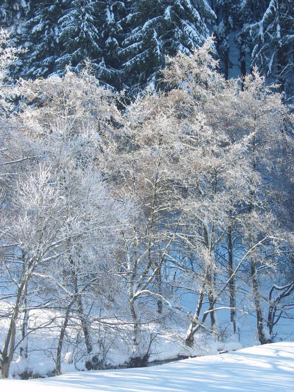 Birgits Landhaus Willingen Willingen  Luaran gambar