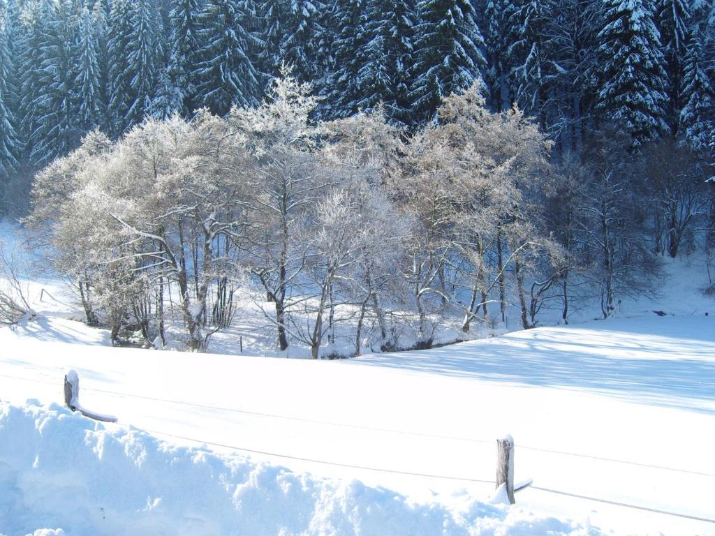 Birgits Landhaus Willingen Willingen  Luaran gambar